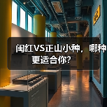 闽红VS正山小种,哪种更适合你?(图3) 闽红VS正山小种,哪种更适合你?(图3)
