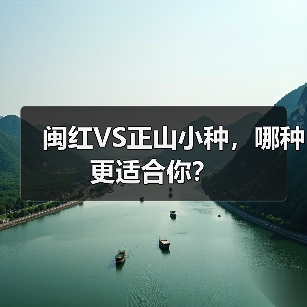 闽红VS正山小种,哪种更适合你?(图2) 闽红VS正山小种,哪种更适合你?(图2)