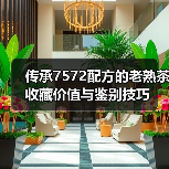 传承7572配方的老熟茶收藏价值与鉴别技巧(图4) 传承7572配方的老熟茶收藏价值与鉴别技巧(图4)