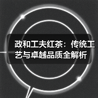 政和工夫红茶：传统工艺与卓越品质全解析（图1）