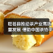 旺苍县推动茶产业高质量发展 借助中国茶协平台打响广元黄茶品牌(图1) 旺苍县推动茶产业高质量发展 借助中国茶协平台打响广元黄茶品牌(图1)