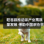 旺苍县推动茶产业高质量发展 借助中国茶协平台打响广元黄茶品牌(图4) 旺苍县推动茶产业高质量发展 借助中国茶协平台打响广元黄茶品牌(图4)