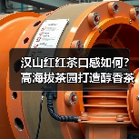 汉山红红茶口感如何？高海拔茶园打造醇香茶饮（图1）
