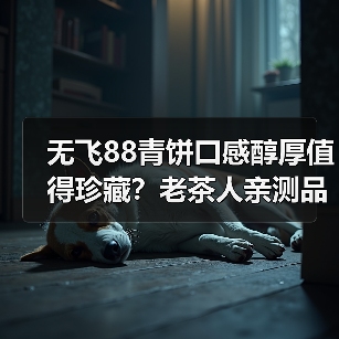 无飞88青饼口感醇厚值得珍藏？老茶人亲测品鉴实录（图4）