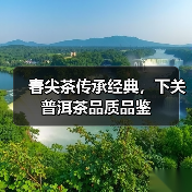 春尖茶传承经典，下关普洱茶品质品鉴（图3）
