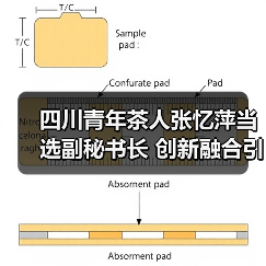 四川青年茶人张忆萍当选副秘书长 创新融合引领川茶发展(图1) 四川青年茶人张忆萍当选副秘书长 创新融合引领川茶发展(图1)