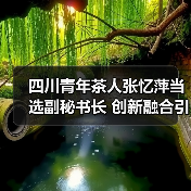 四川青年茶人张忆萍当选副秘书长 创新融合引领川茶发展(图3) 四川青年茶人张忆萍当选副秘书长 创新融合引领川茶发展(图3)