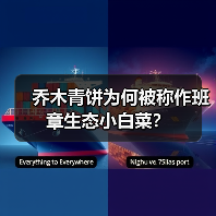 乔木青饼为何被称作班章生态小白菜?(图2) 乔木青饼为何被称作班章生态小白菜?(图2)