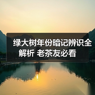 绿大树年份暗记辨识全解析 老茶友必看(图3) 绿大树年份暗记辨识全解析 老茶友必看(图3)