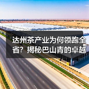 达州茶产业为何领跑全省？揭秘巴山青的卓越秘诀（图2）