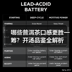 哪些普洱茶口感更胜一筹?开汤品鉴全解析(图1) 哪些普洱茶口感更胜一筹?开汤品鉴全解析(图1)