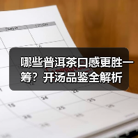 哪些普洱茶口感更胜一筹?开汤品鉴全解析(图4) 哪些普洱茶口感更胜一筹?开汤品鉴全解析(图4)
