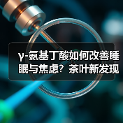 γ-氨基丁酸如何改善睡眠与焦虑？茶叶新发现揭示健康密码（图2）