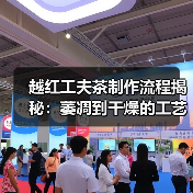 越红工夫茶制作流程揭秘:萎凋到干燥的工艺全解析(图2) 越红工夫茶制作流程揭秘:萎凋到干燥的工艺全解析(图2)
