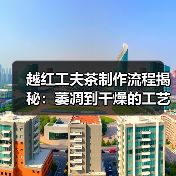 越红工夫茶制作流程揭秘:萎凋到干燥的工艺全解析(图1) 越红工夫茶制作流程揭秘:萎凋到干燥的工艺全解析(图1)