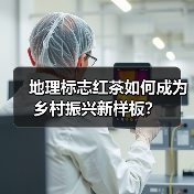 地理标志红茶如何成为乡村振兴新样板?(图3) 地理标志红茶如何成为乡村振兴新样板?(图3)