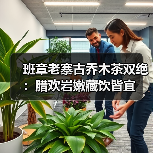 班章老寨古乔木茶双绝:腊欢岩嫩藏饮皆宜(图1) 班章老寨古乔木茶双绝:腊欢岩嫩藏饮皆宜(图1)