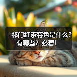 祁门红茶特色是什么？有哪些？必看！（图1）