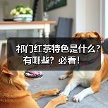 祁门红茶特色是什么？有哪些？必看！（图3）