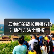 云南红茶能长期保存吗？储存方法全解析（图2）