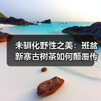 未驯化野性之美:班盆新寨古树茶如何颠覆传统品饮体验?(图1) 未驯化野性之美:班盆新寨古树茶如何颠覆传统品饮体验?(图1)
