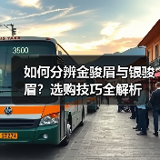 如何分辨金骏眉与银骏眉？选购技巧全解析（图4）