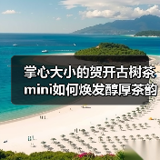 掌心大小的贺开古树茶mini如何焕发醇厚茶韵(图2) 掌心大小的贺开古树茶mini如何焕发醇厚茶韵(图2)