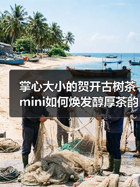 掌心大小的贺开古树茶mini如何焕发醇厚茶韵(图4) 掌心大小的贺开古树茶mini如何焕发醇厚茶韵(图4)
