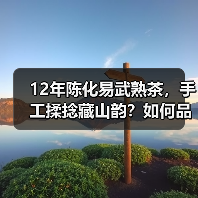 12年陈化易武熟茶,手工揉捻藏山韵?如何品鉴其独特魅力?(图3) 12年陈化易武熟茶,手工揉捻藏山韵?如何品鉴其独特魅力?(图3)