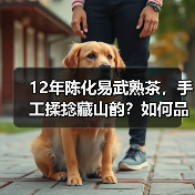 12年陈化易武熟茶,手工揉捻藏山韵?如何品鉴其独特魅力?(图1) 12年陈化易武熟茶,手工揉捻藏山韵?如何品鉴其独特魅力?(图1)
