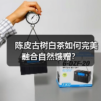 陈皮古树白茶如何完美融合自然馈赠?(图2) 陈皮古树白茶如何完美融合自然馈赠?(图2)