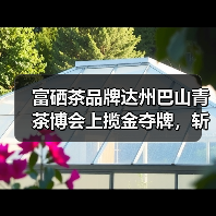 富硒茶品牌达州巴山青茶博会上揽金夺牌，斩获多项大奖（图3）