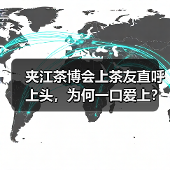 夹江茶博会上茶友直呼上头，为何一口爱上？（图2）