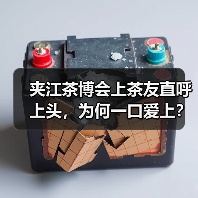 夹江茶博会上茶友直呼上头，为何一口爱上？（图4）