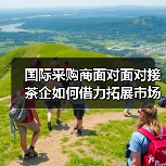 国际采购商面对面对接 茶企如何借力拓展市场？（图2）