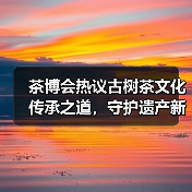 茶博会热议古树茶文化传承之道，守护遗产新策略浮现（图4）