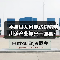 平昌县为何能跻身精制川茶产业振兴十强县？（图1）