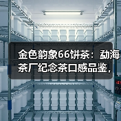 金色韵象66饼茶:勐海茶厂纪念茶口感品鉴,前浓后淡?(图1) 金色韵象66饼茶:勐海茶厂纪念茶口感品鉴,前浓后淡?(图1)