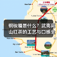 铜骏眉是什么?武夷高山红茶的工艺与口感全解析(图2) 铜骏眉是什么?武夷高山红茶的工艺与口感全解析(图2)