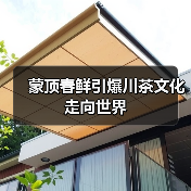 蒙顶春鲜引爆川茶文化走向世界(图2) 蒙顶春鲜引爆川茶文化走向世界(图2)