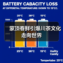 蒙顶春鲜引爆川茶文化走向世界(图4) 蒙顶春鲜引爆川茶文化走向世界(图4)