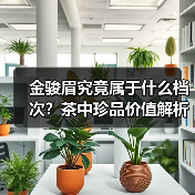 金骏眉究竟属于什么档次?茶中珍品价值解析(图4) 金骏眉究竟属于什么档次?茶中珍品价值解析(图4)