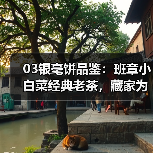 03银毫饼品鉴:班章小白菜经典老茶,藏家为何争相追捧(图4) 03银毫饼品鉴:班章小白菜经典老茶,藏家为何争相追捧(图4)