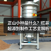 正山小种是什么?红茶起源到制作工艺全解析(图1) 正山小种是什么?红茶起源到制作工艺全解析(图1)