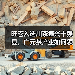 旺苍入选川茶振兴十强县,广元茶产业如何领跑?(图1) 旺苍入选川茶振兴十强县,广元茶产业如何领跑?(图1)