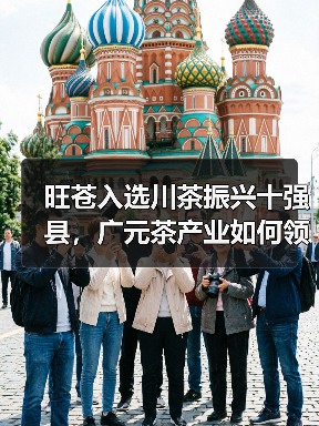 旺苍入选川茶振兴十强县,广元茶产业如何领跑?(图4) 旺苍入选川茶振兴十强县,广元茶产业如何领跑?(图4)