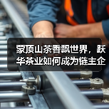 蒙顶山茶香飘世界，跃华茶业如何成为链主企业？（图2）
