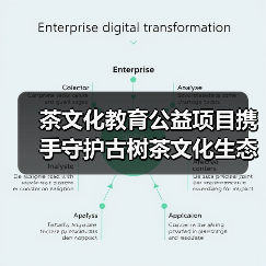 茶文化教育公益项目携手守护古树茶文化生态（图1）