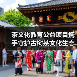 茶文化教育公益项目携手守护古树茶文化生态（图3）