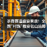茶香赛道盛宴来袭!全国 茶香赛道盛宴来袭!全国